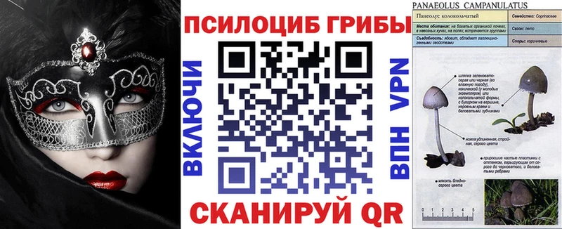 Галлюциногенные грибы Cubensis Ростов