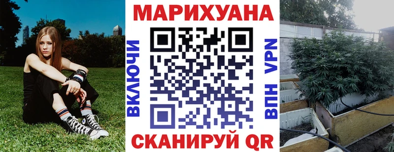 Канабис сатива  Ростов 